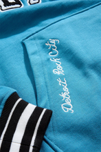 Load image into Gallery viewer, JORDAN CRAIG D-TOWN PULLOVER HOODIE (LION)