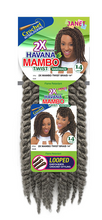Load image into Gallery viewer, JANET COLLECTION 2X MAMBO TWIST 14"