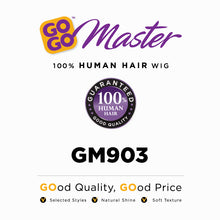 Load image into Gallery viewer, HARLEM 125 GOGO MASTER GM903 HH WIG