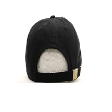 Load image into Gallery viewer, MV Future Billionaire Hat (grey)