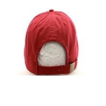 Load image into Gallery viewer, MV Future Billionaire Hat (red)