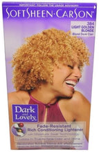 Load image into Gallery viewer, SOFT SHEEN CARSON DARK &amp; LOVELY FADE RESIST- HAIR COLOR